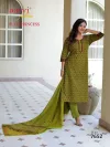 Plus Princess Vol 6 By Aarvi Printed Cotton Plus Size Readymade Dress 